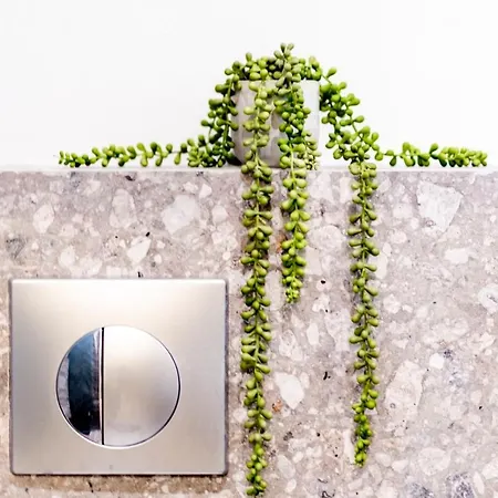 Twinstars Superior Apartment