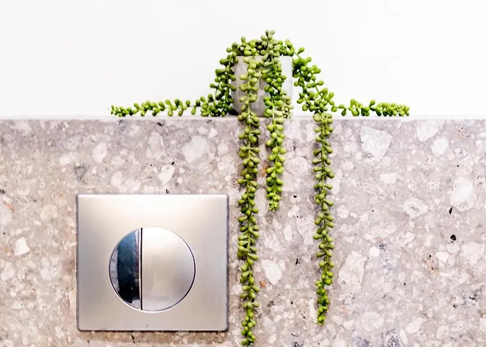 Twinstars Superior Apartament