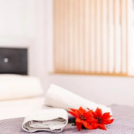 Twinstars Superior Apartment